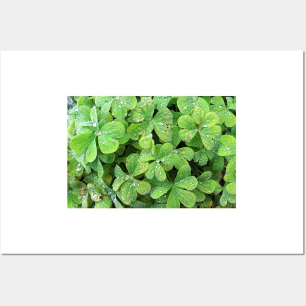 Green Trifolium Plant Foliage Wall Art by pinkal